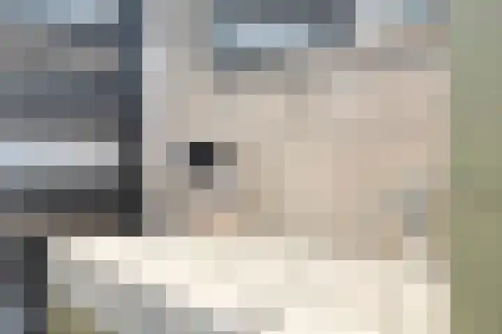 De Vriesstraat 11 Elst thumbnail 52