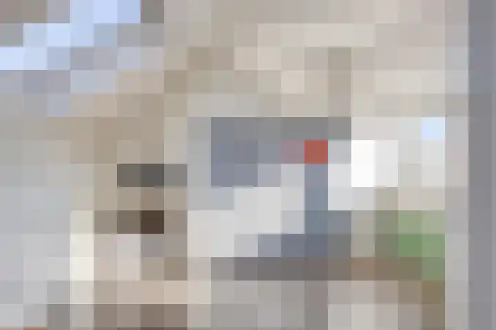 De Vriesstraat 11 Elst thumbnail 56