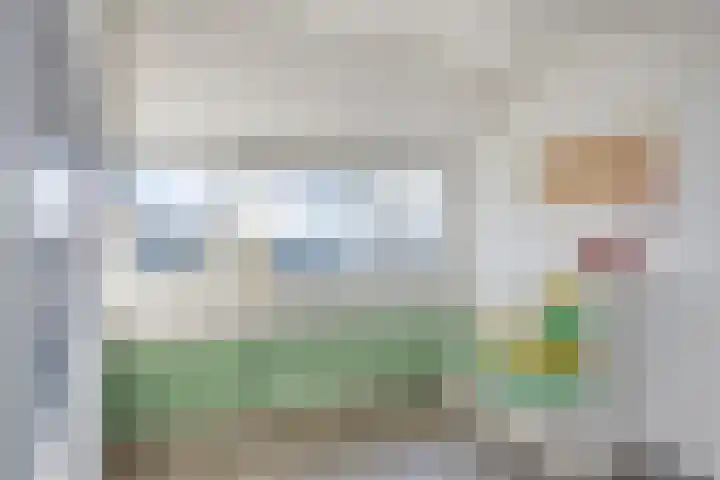 De Vriesstraat 11 Elst thumbnail 57