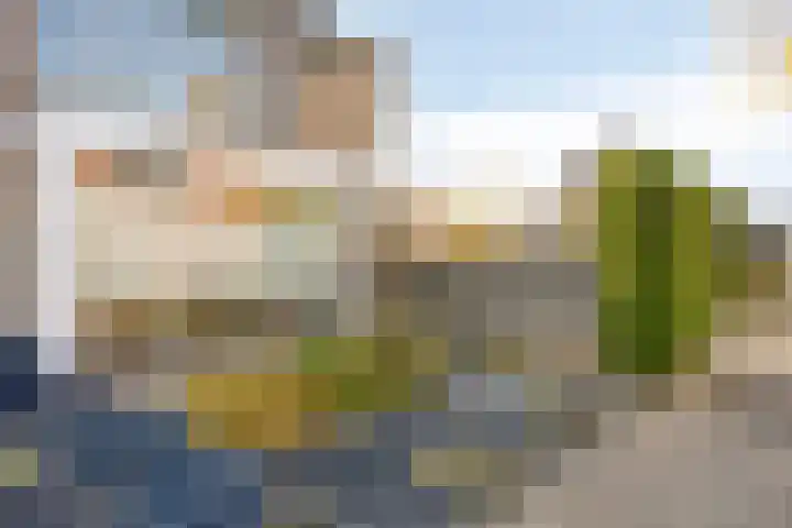 De Vriesstraat 11 Elst thumbnail 59