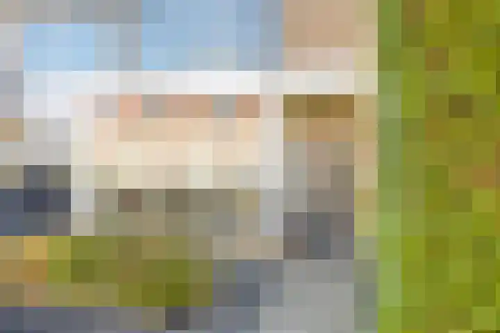 De Vriesstraat 11 Elst thumbnail 7