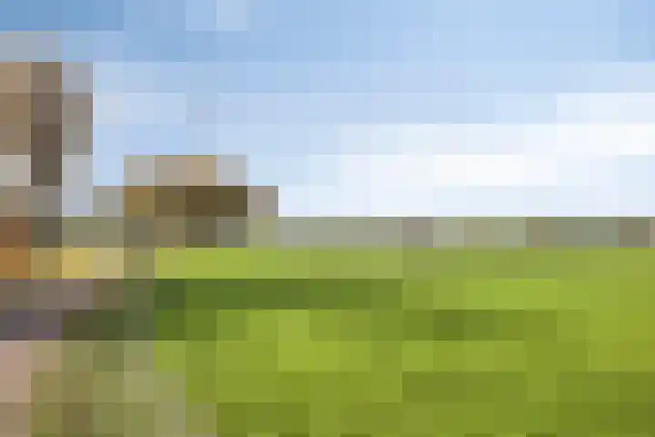 De Vriesstraat 11 Elst thumbnail 70