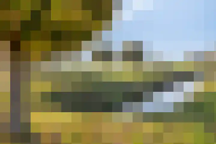 De Vriesstraat 11 Elst thumbnail 71