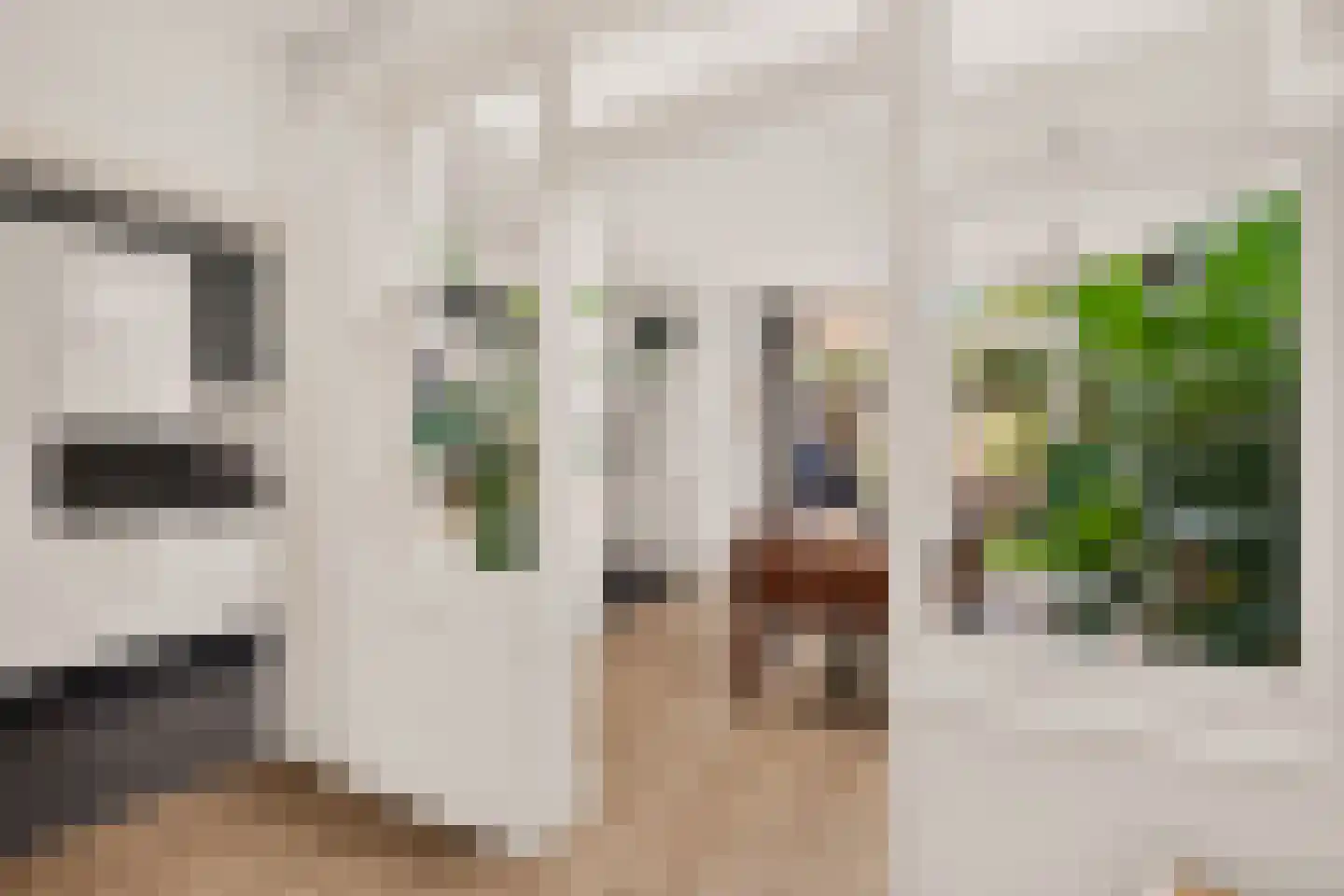 de Vriesstraat 14 Eindhoven thumbnail 14