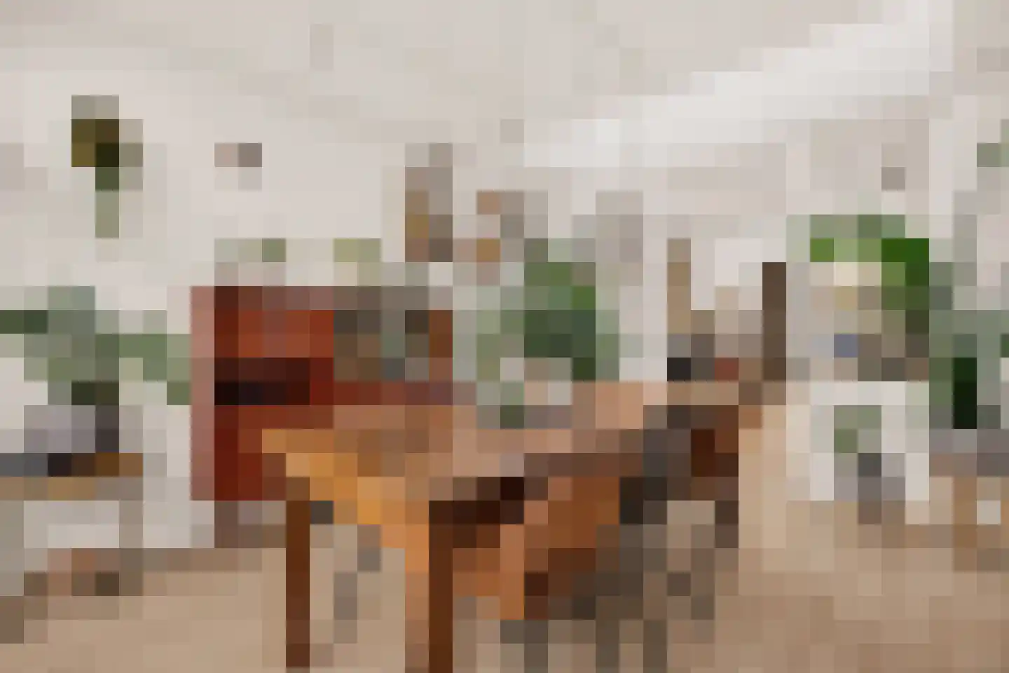 de Vriesstraat 14 Eindhoven thumbnail 15
