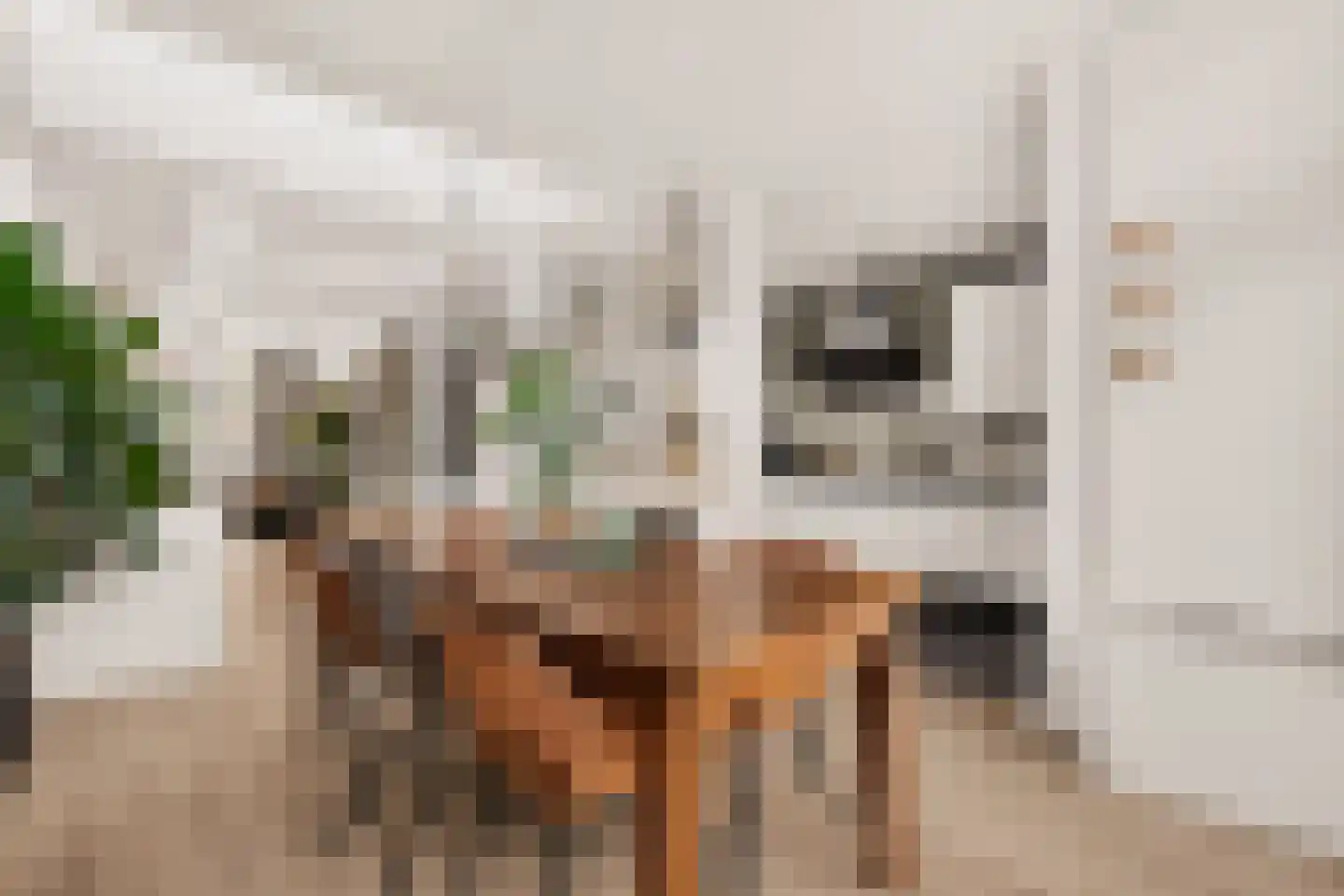 de Vriesstraat 14 Eindhoven thumbnail 18