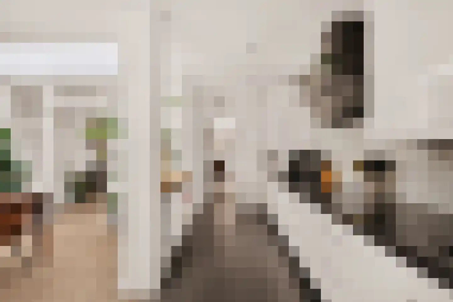 de Vriesstraat 14 Eindhoven thumbnail 20