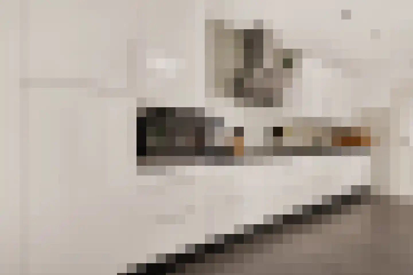 de Vriesstraat 14 Eindhoven thumbnail 21