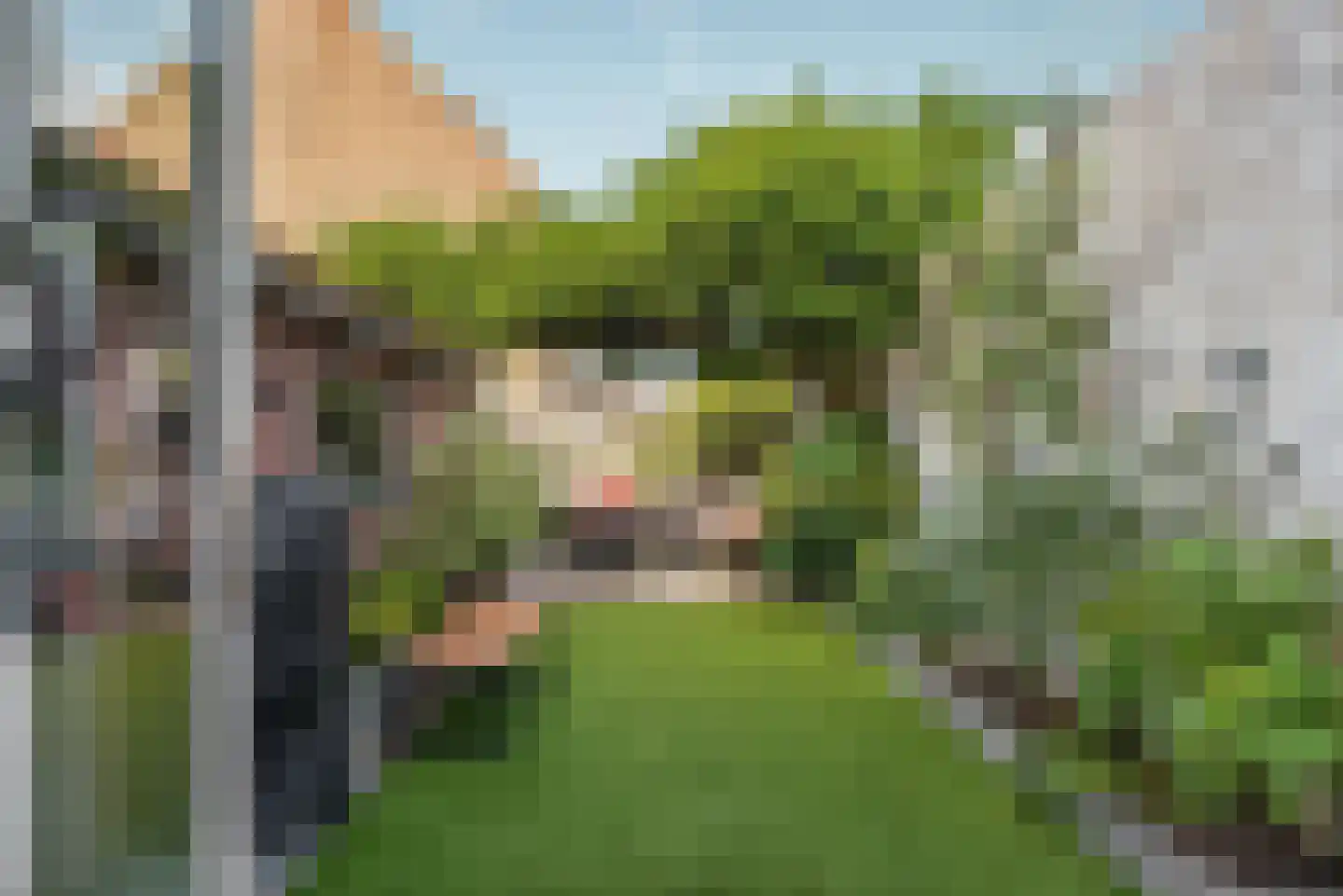 de Vriesstraat 14 Eindhoven thumbnail 23