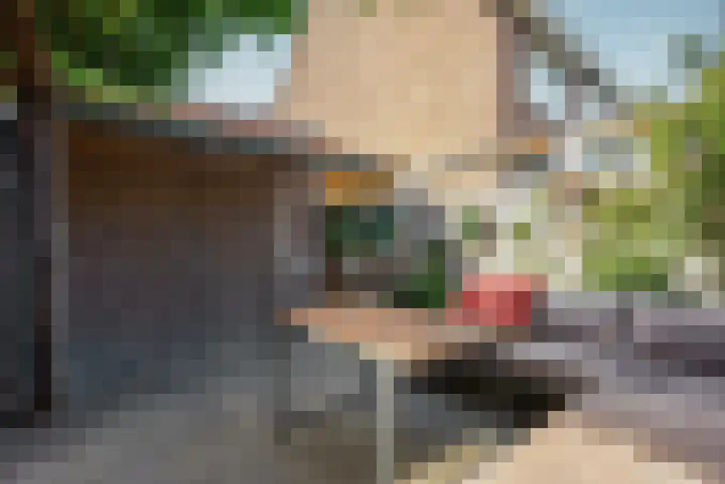 de Vriesstraat 14 Eindhoven thumbnail 24