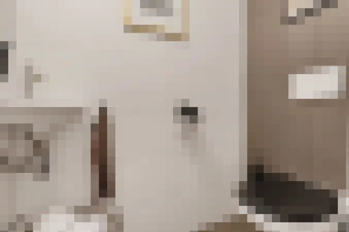 de Vriesstraat 14 Eindhoven thumbnail 30