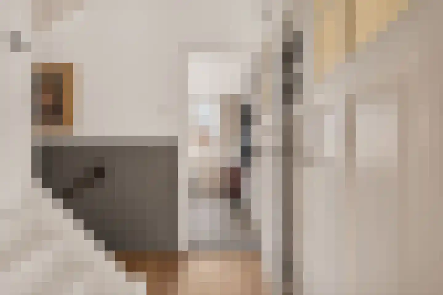 de Vriesstraat 14 Eindhoven thumbnail 31