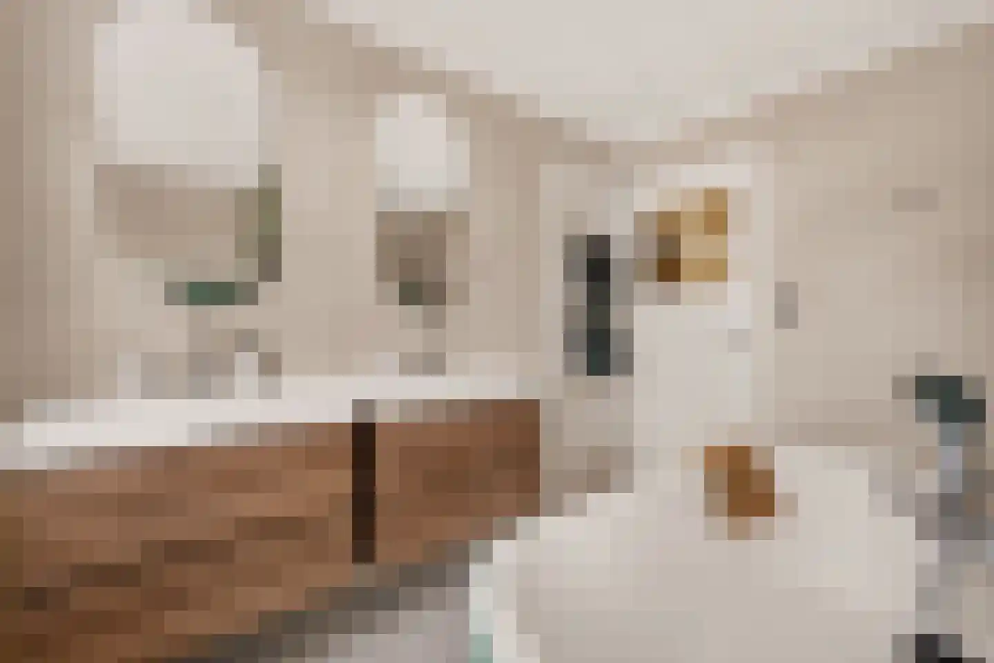 de Vriesstraat 14 Eindhoven thumbnail 35