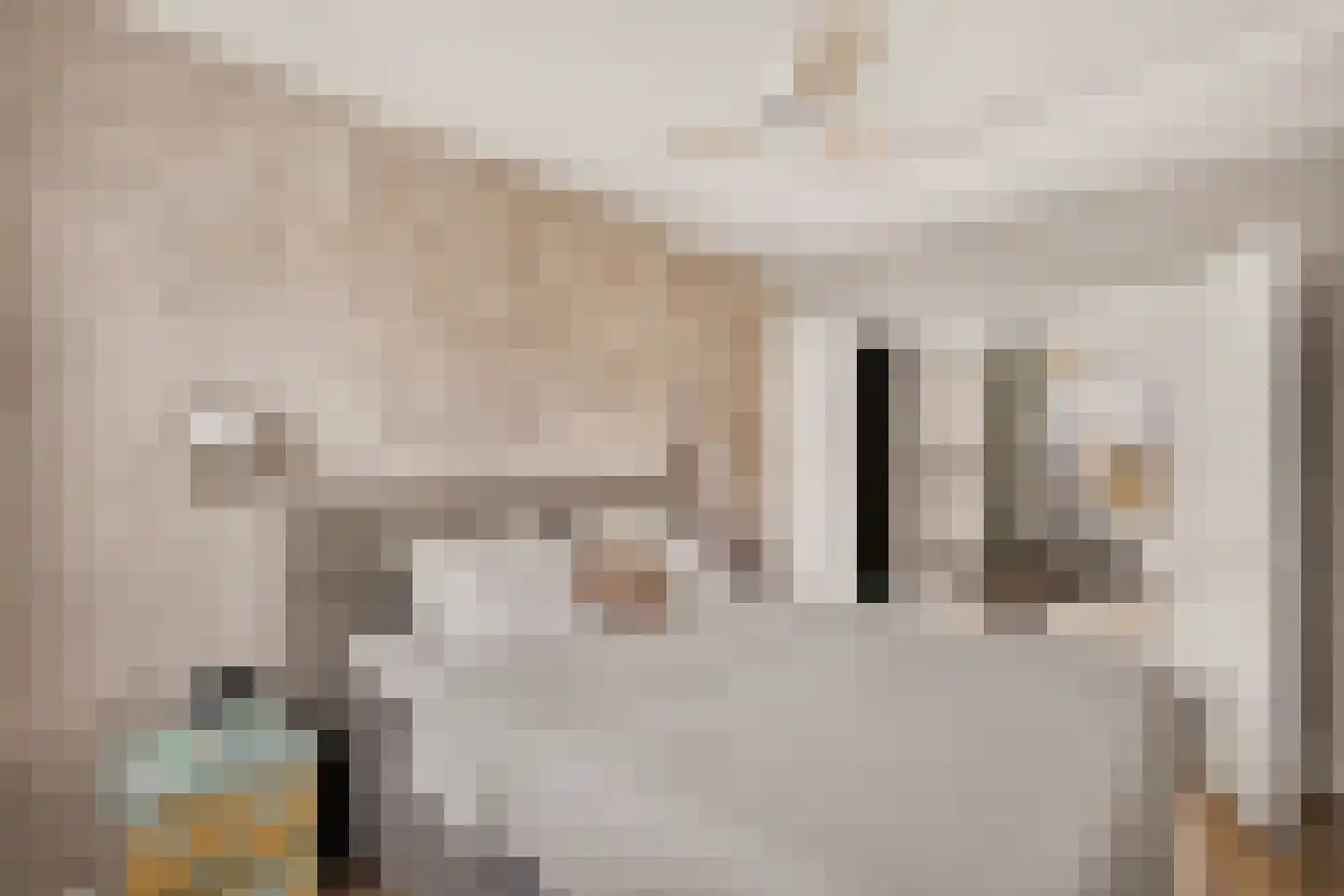 de Vriesstraat 14 Eindhoven thumbnail 38