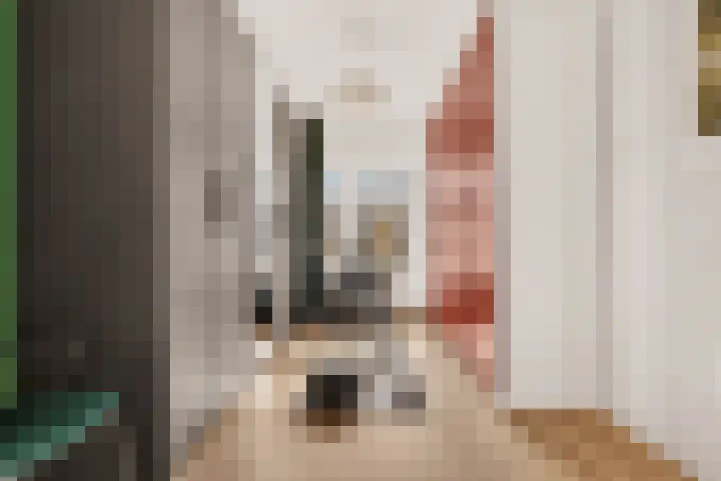 de Vriesstraat 14 Eindhoven thumbnail 39