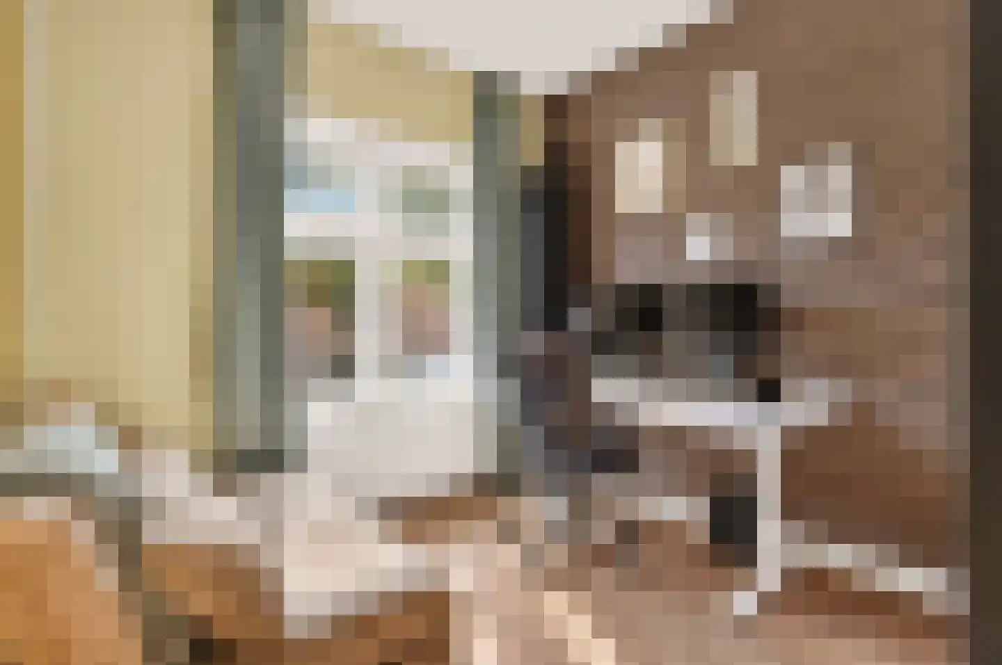 de Vriesstraat 14 Eindhoven thumbnail 41