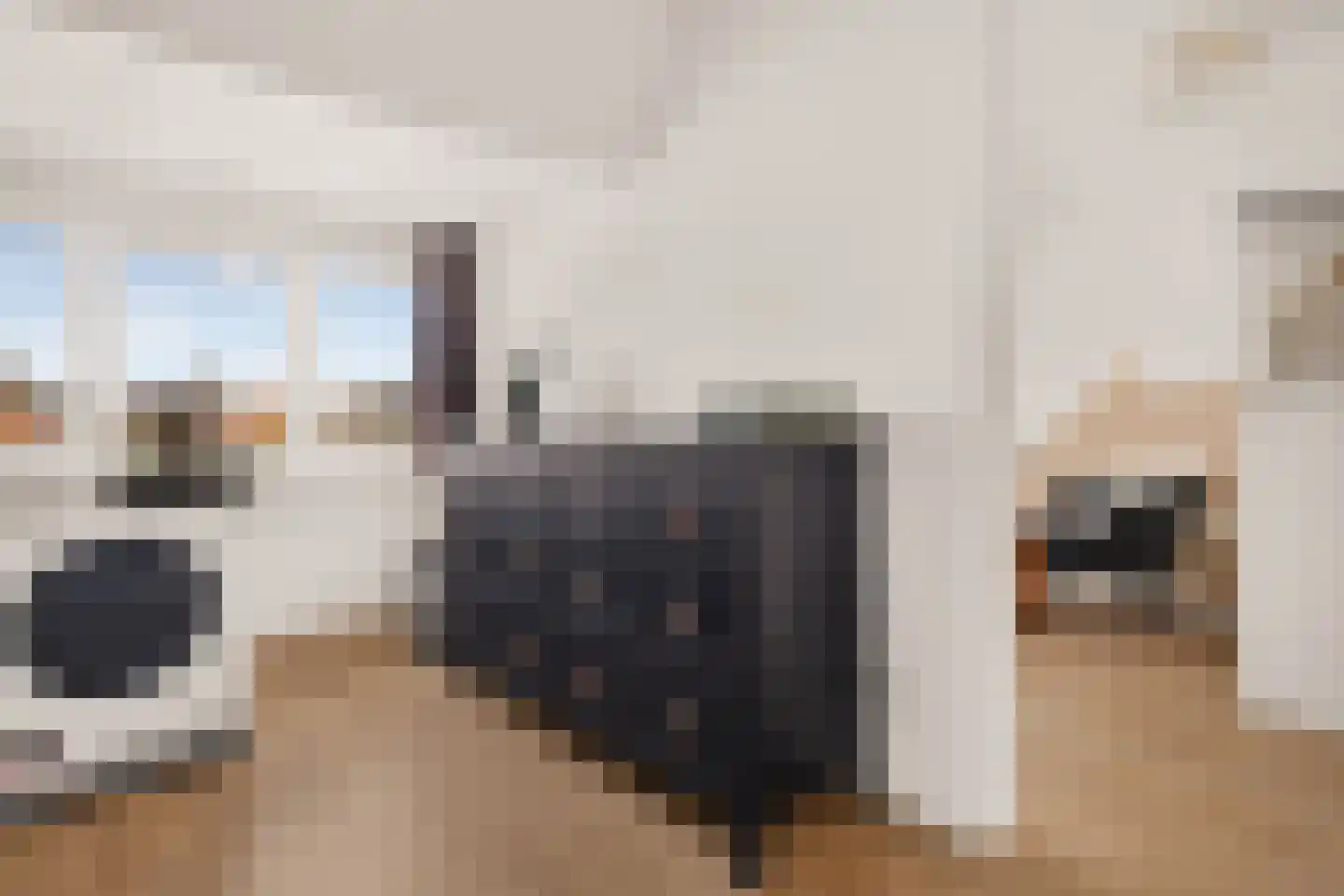 de Vriesstraat 14 Eindhoven thumbnail 43