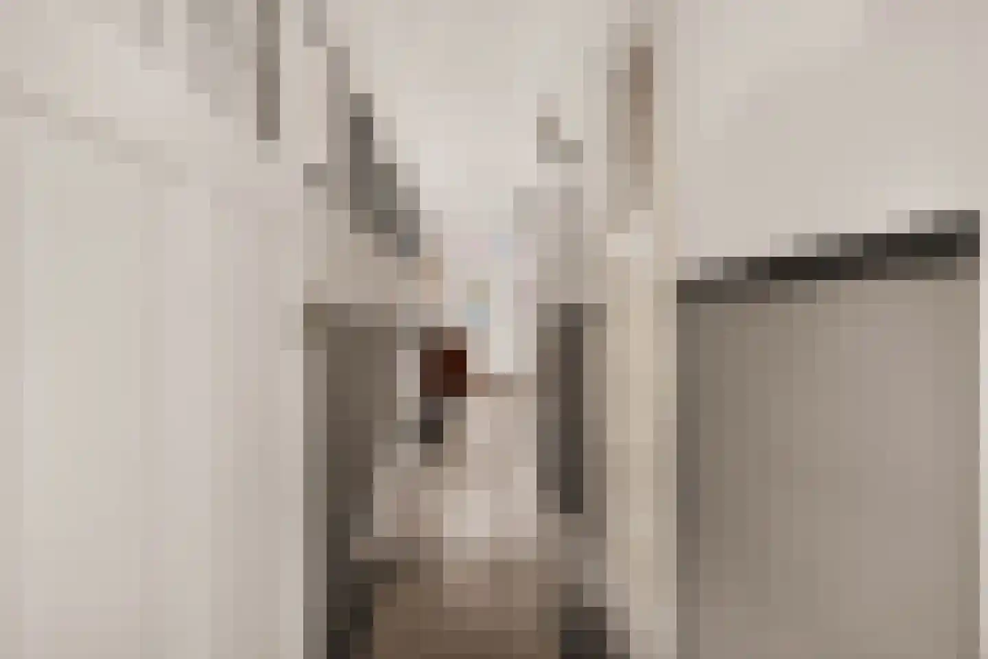 de Vriesstraat 14 Eindhoven thumbnail 8