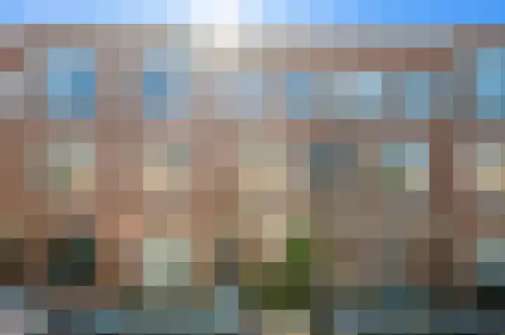 De Vriesstraat 19 Den Haag thumbnail 5
