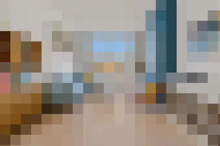 De Vriesstraat 19 Den Haag thumbnail 9