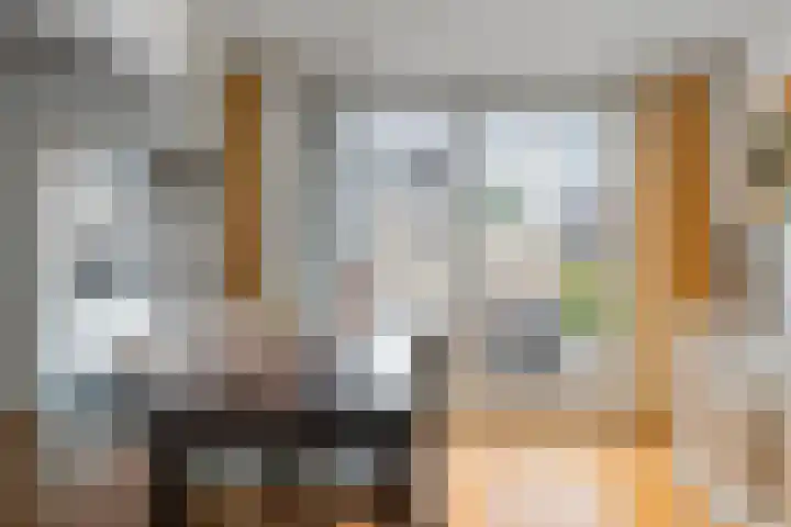 de Vriesstraat 2 Dinteloord thumbnail 10
