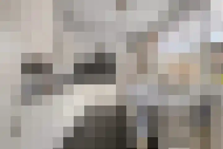 de Vriesstraat 2 Dinteloord thumbnail 15