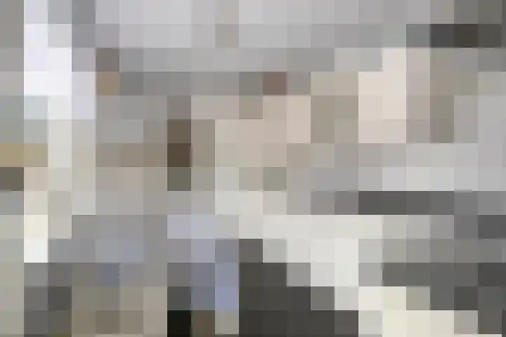 de Vriesstraat 2 Dinteloord thumbnail 17