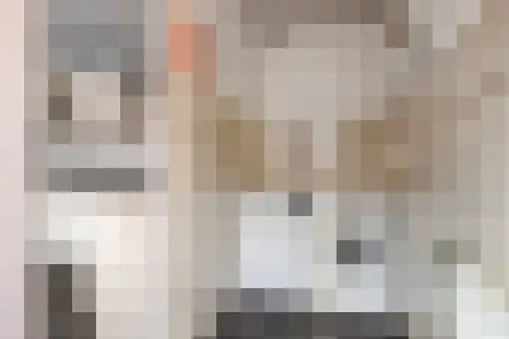de Vriesstraat 2 Dinteloord thumbnail 18