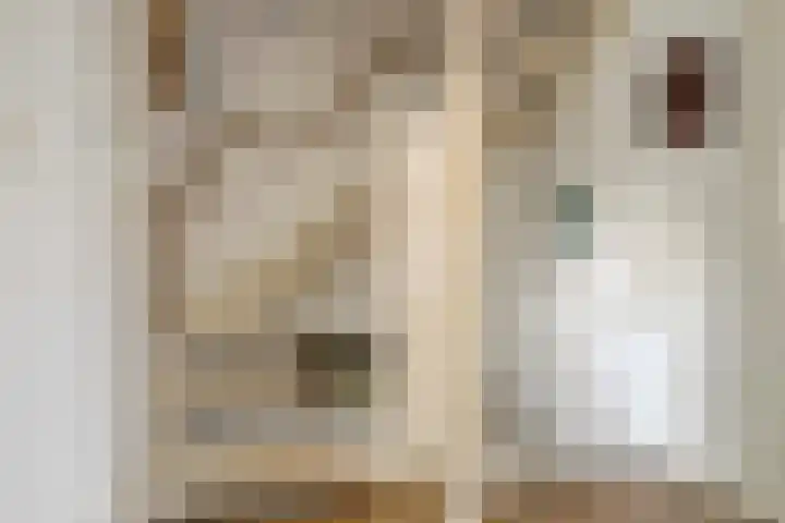 de Vriesstraat 2 Dinteloord thumbnail 19