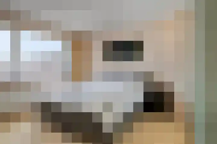 de Vriesstraat 2 Dinteloord thumbnail 20