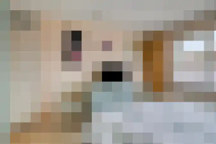 de Vriesstraat 2 Dinteloord thumbnail 21