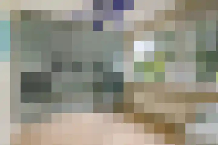 de Vriesstraat 2 Dinteloord thumbnail 23