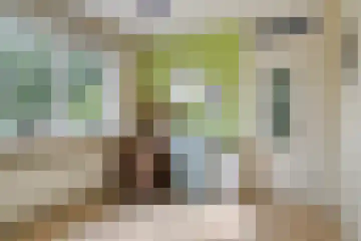de Vriesstraat 2 Dinteloord thumbnail 24