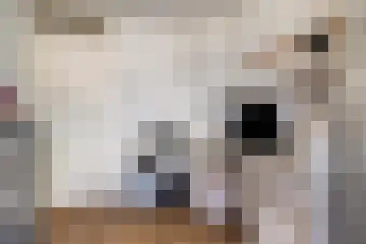 de Vriesstraat 2 Dinteloord thumbnail 26