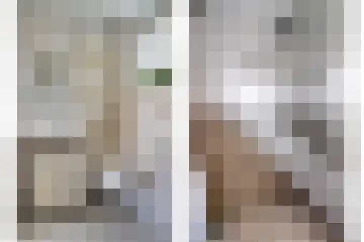 de Vriesstraat 2 Dinteloord thumbnail 28