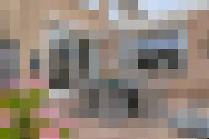 de Vriesstraat 2 Dinteloord thumbnail 32