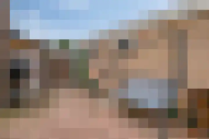 de Vriesstraat 2 Dinteloord thumbnail 36