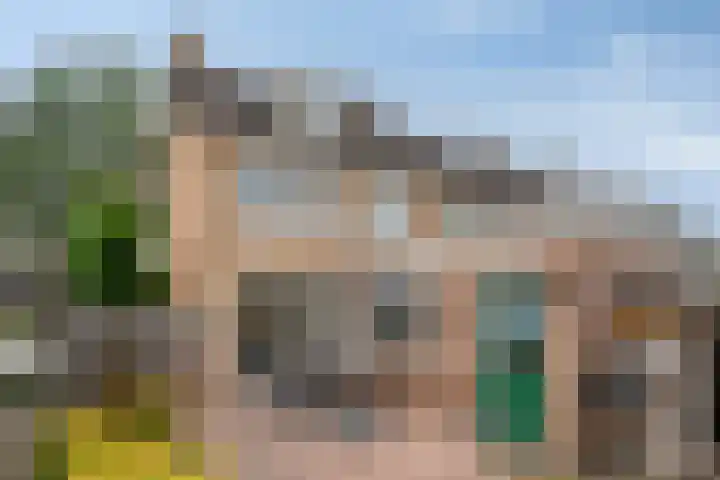 de Vriesstraat 2 Dinteloord thumbnail 37