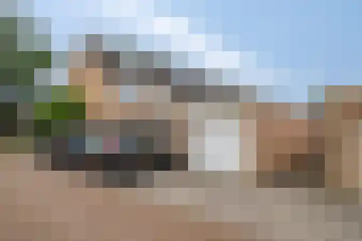 de Vriesstraat 2 Dinteloord thumbnail 39