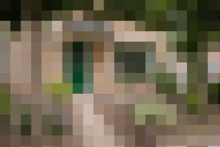 de Vriesstraat 2 Dinteloord thumbnail 40