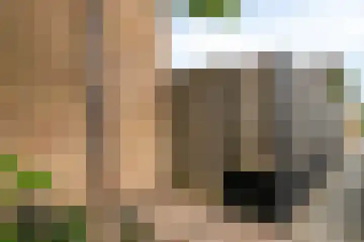 de Vriesstraat 2 Dinteloord thumbnail 41