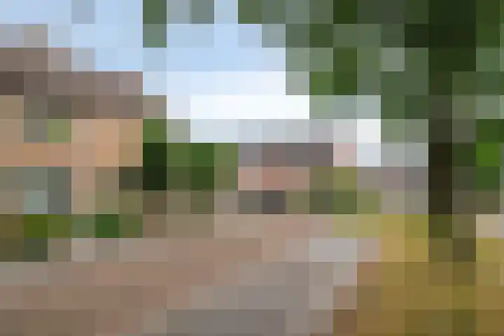 de Vriesstraat 2 Dinteloord thumbnail 43