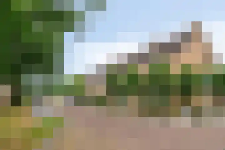 de Vriesstraat 2 Dinteloord thumbnail 44