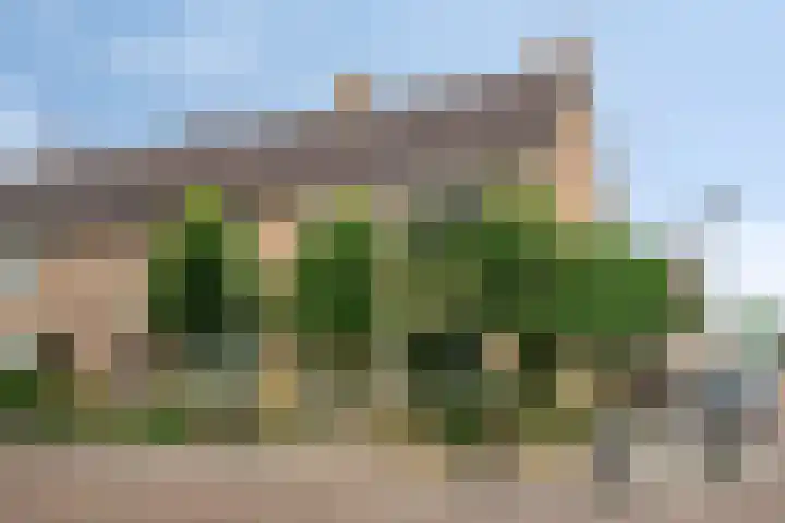 de Vriesstraat 2 Dinteloord thumbnail 45