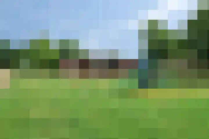 de Vriesstraat 2 Dinteloord thumbnail 46