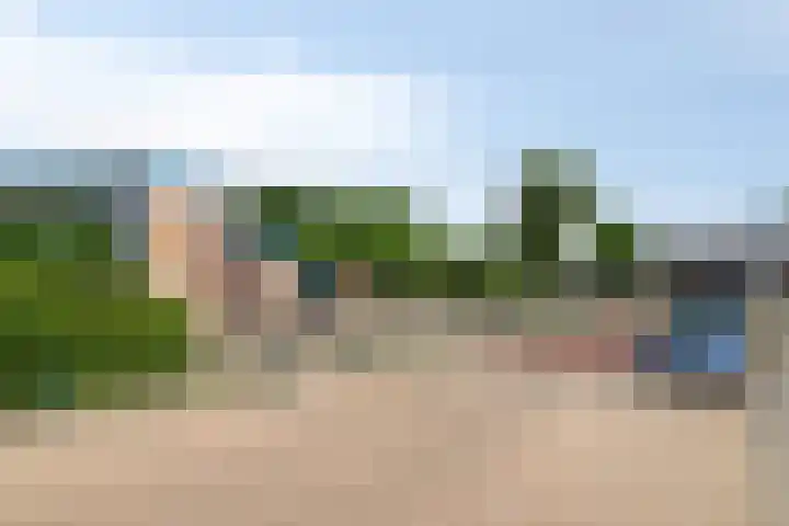 de Vriesstraat 2 Dinteloord thumbnail 47