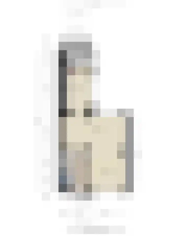 de Vriesstraat 2 Dinteloord thumbnail 48