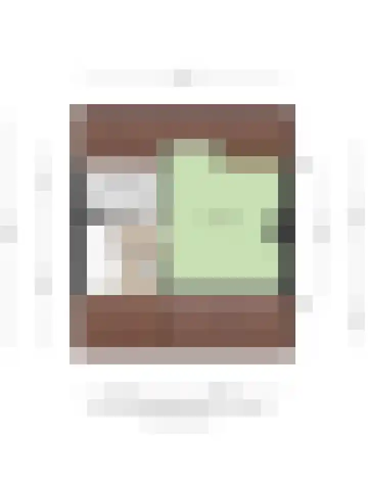 de Vriesstraat 2 Dinteloord thumbnail 50