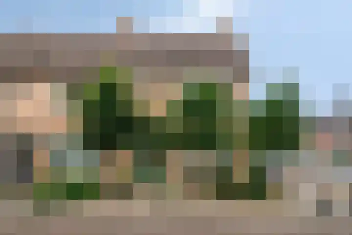 de Vriesstraat 2 Dinteloord thumbnail 52