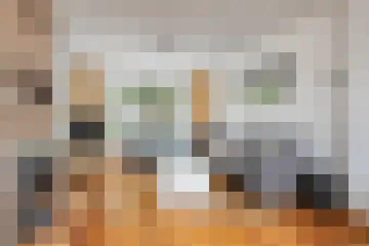 de Vriesstraat 2 Dinteloord thumbnail 6